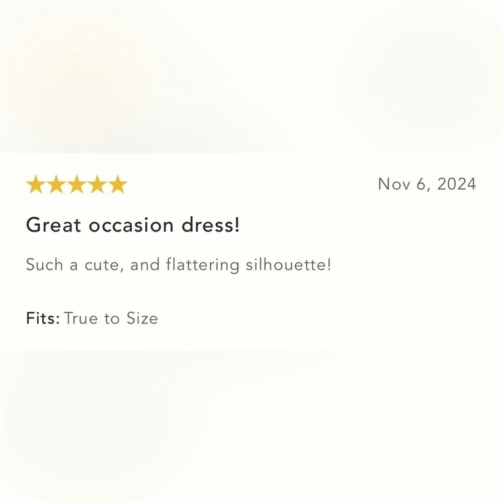 NWT Size 10 - Maeve Sleeveless V-Neck Lace Fit & Flare Mini Dress - Picture 10 of 16